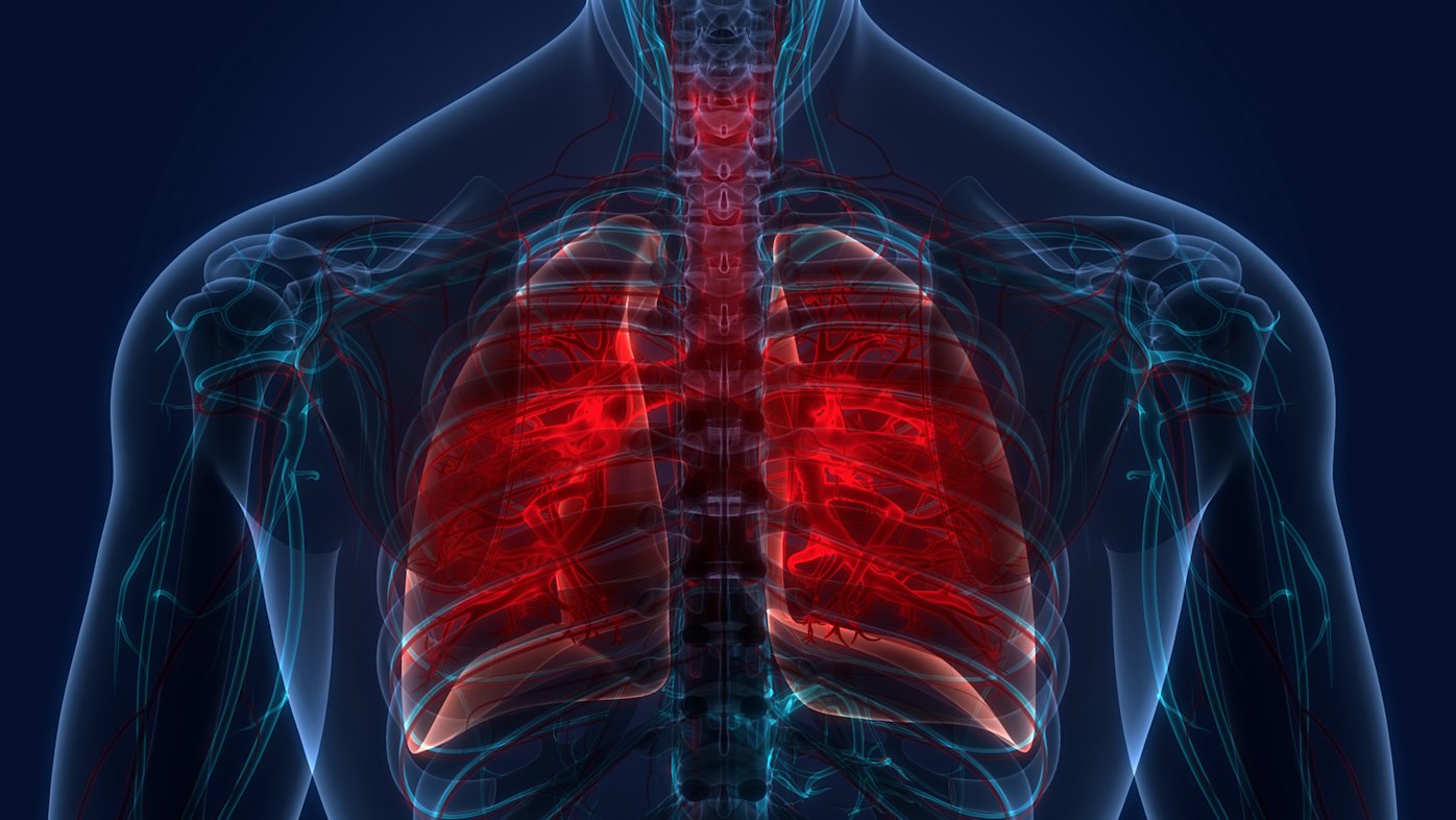 Order a TB Blood Test Online