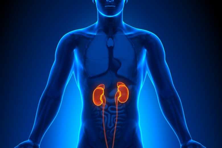 kidney disease testing