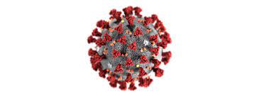 Online Coronavirus Antibody Test