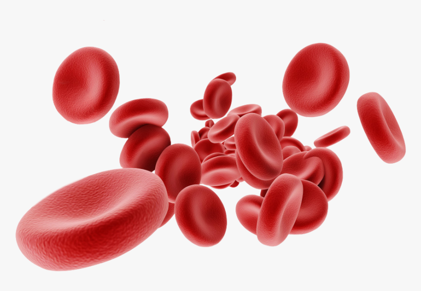 anemia test online
